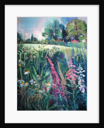 Summer Field by Claire Spencer