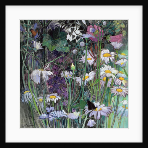 The White Garden by Claire Spencer