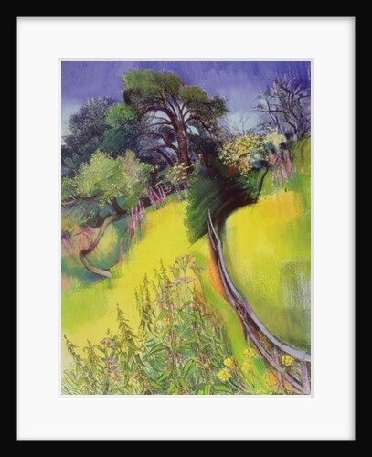 Midsummer by Claire Spencer