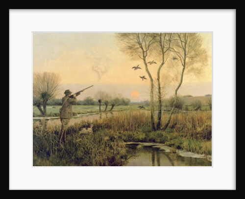 Duck Shooting by Christopher William Strange