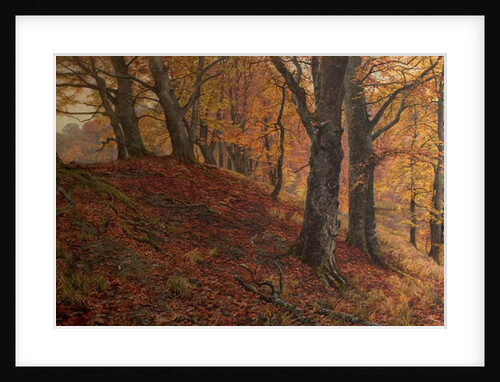At the Fall of Leaf, Arundel Park, Sussex, 1883 by William Samuel Jay