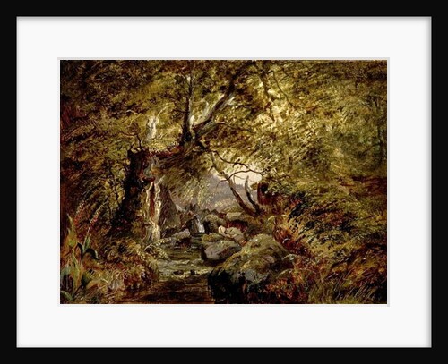 A Woodland Stream by English School