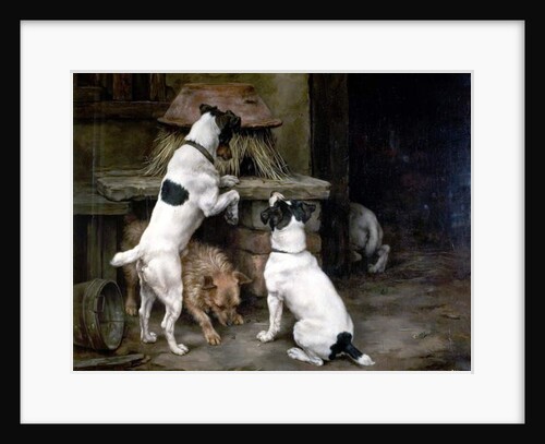 Busy Bodies and Busy Bees, 1892 by Lucy Ann Leavers