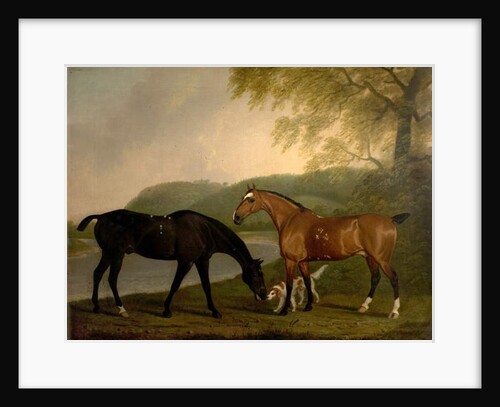 Horses and Dog in a Landscape, c.1830 by Clifton Tomson