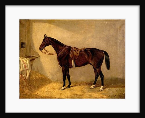 Portrait of the Horse, Which Belonged to Major Burton at the Balaclava Charge by Thomas W. Bretland