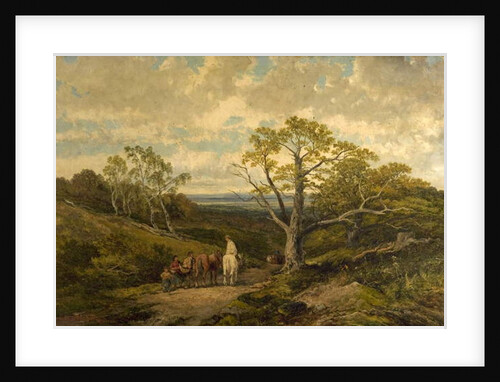 View in Sherwood Forest, Nottinghamshire by John Holland