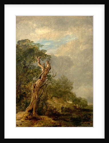 The Withered Tree by William Collins