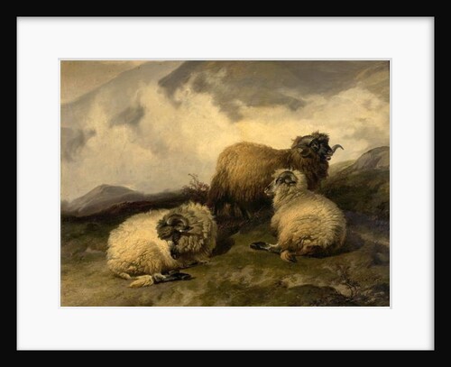 Mountain Sheep 1846 by Thomas Sidney Cooper