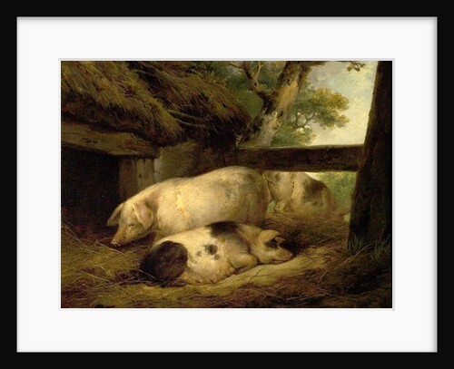 Study of Pigs by George Morland