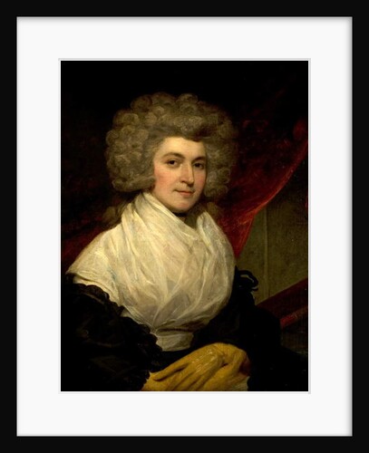 Portrait of a Lady by John Westbrooke Chandler