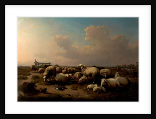 The Sheep by Eugene Joseph Verboeckhoven