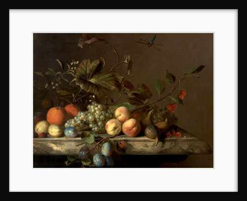 Fruit Piece with Dragonfly, 1692 by Barend or Bernardus van der Meer