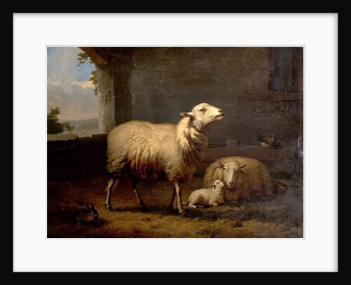Sheep, 1876 by Eugene Joseph Verboeckhoven