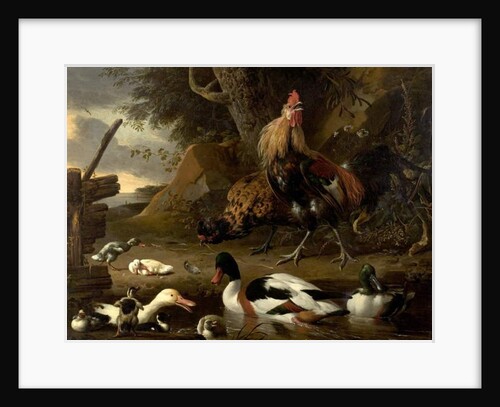 Two Fowls and Ducks on a Pond by Melchior de Hondecoeter