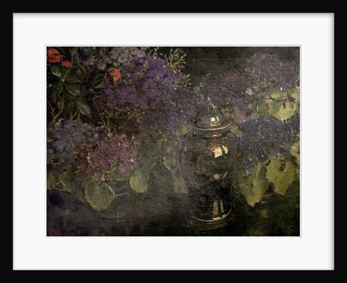 Cinerarias by William Bruce Ellis Ranken