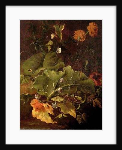 Dock Leaves and Other Flowers, c.1820 by James Sillett