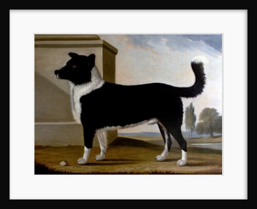 Lord Byron's Dog 'Boatswain', 1808 by Clifton Tomson