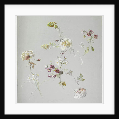 Carpet design by English School