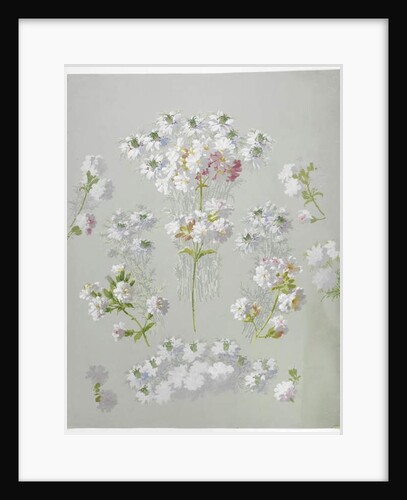 Carpet design by English School