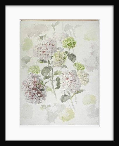 Carpet design by English School