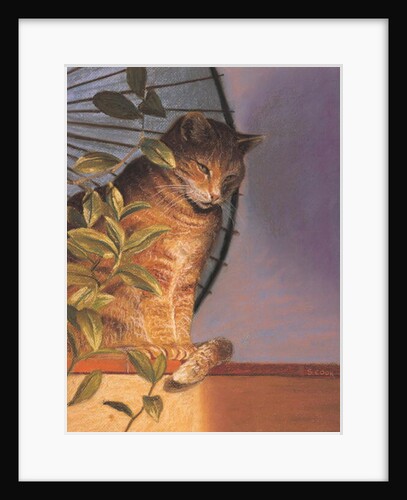Contemplation by Simon Cook