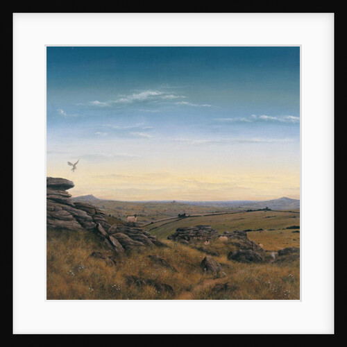 Evening Sky by Simon Cook