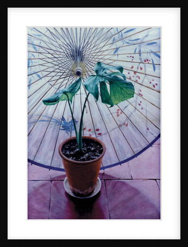 Chinese Umbrella by Simon Cook