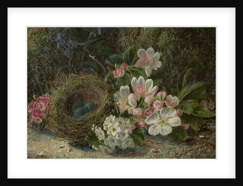 Bird's Nest with Apple and Hawthorn Blossom, 1893 by Oliver Clare