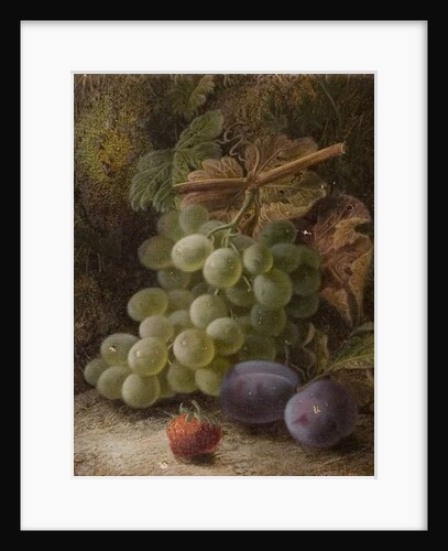Bunch of Grapes, 1893 by Oliver Clare