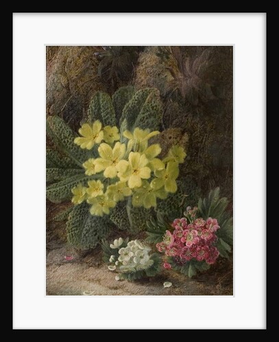 Primroses, 1893 by Oliver Clare