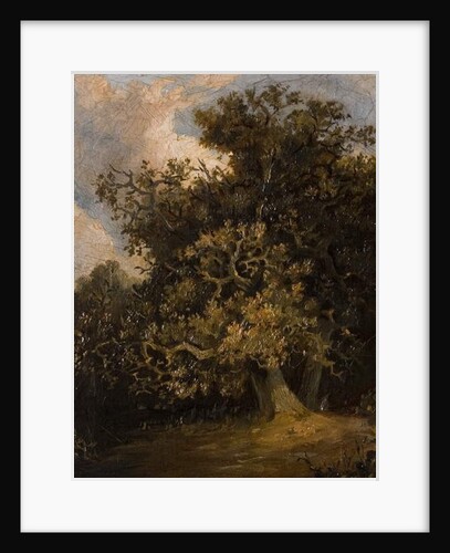 Oak Tree, late 19th century by Walter Scott