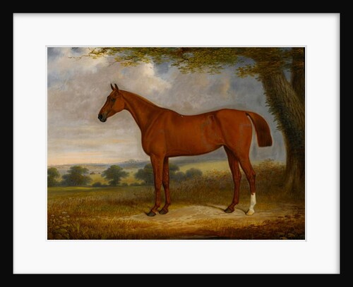 Chestnut Hunter in a Landscape, 1867 by Edwin Brown