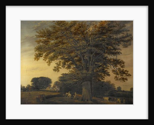 The Binley Oak, 1848 by Edwin Brown