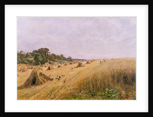 Cornfield Harvest by Edward Wilkins Waite