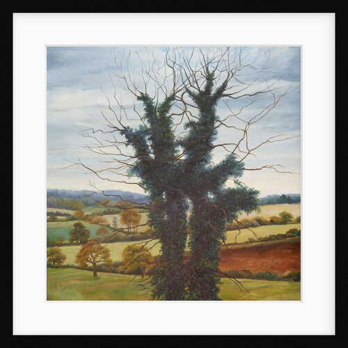 Winter Sky, 1998, by Cristiana Angelini