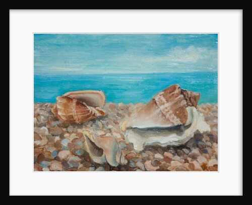 Three Shells by Cristiana Angelini