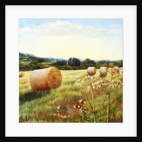 Eynsford Valley by Cristiana Angelini