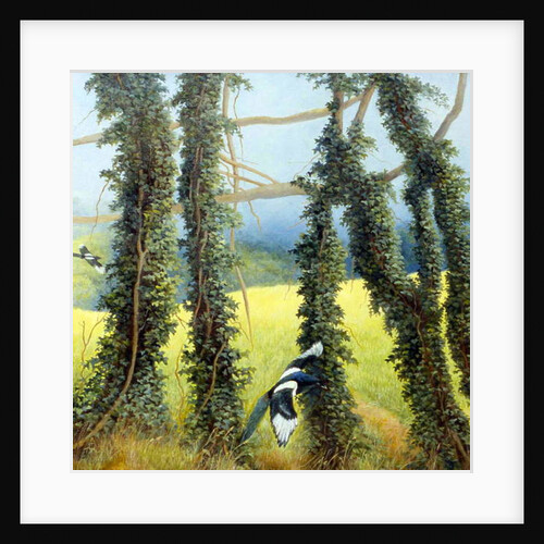 From the Bridle Path, Shoreham by Cristiana Angelini