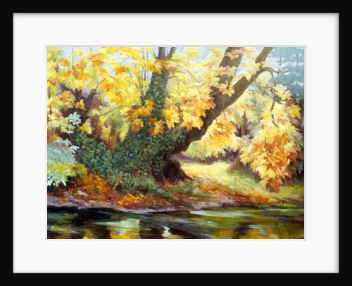 Autumn on the Darenth by Cristiana Angelini