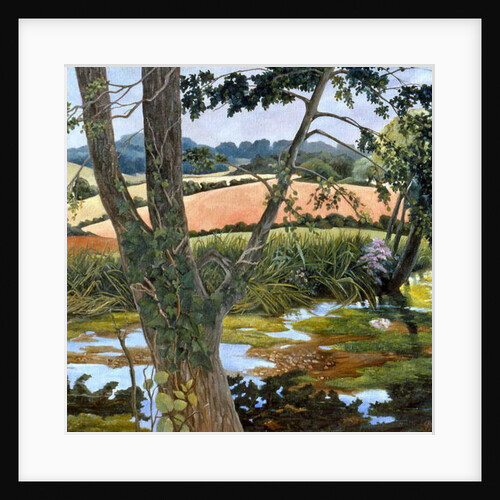 Summer amongst the reeds by Cristiana Angelini