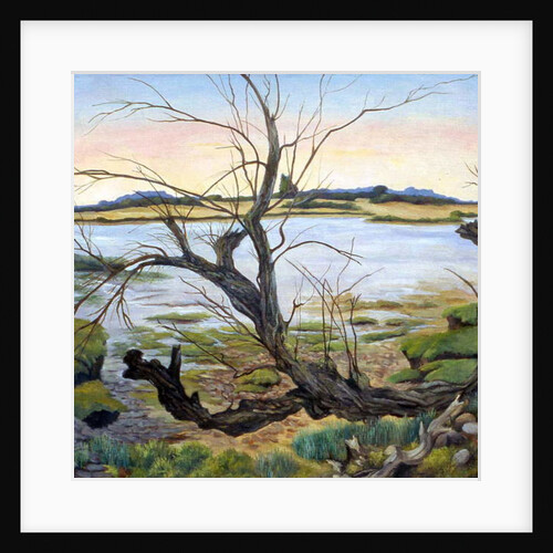 The River Colne by Cristiana Angelini