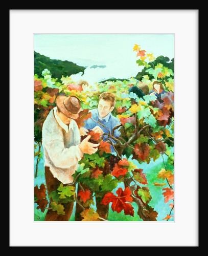 Grape Pickers, 1996 by Cristiana Angelini
