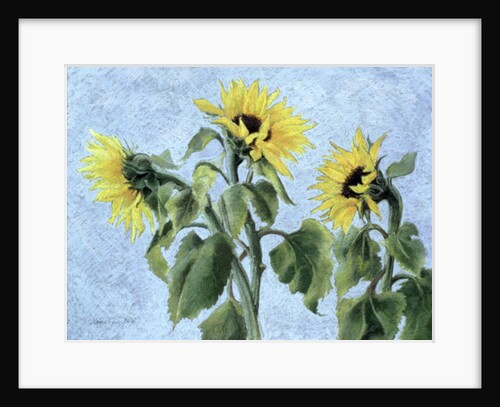 Sunflowers, 1996 by Cristiana Angelini
