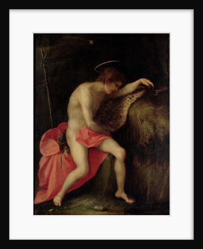 St John the Baptist in the Desert by Andrea del Sarto