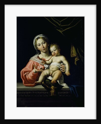 The Madonna della Rosa, before 1627 by Domenichino