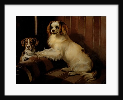 Bony and Var, c.1843 by Edwin Landseer