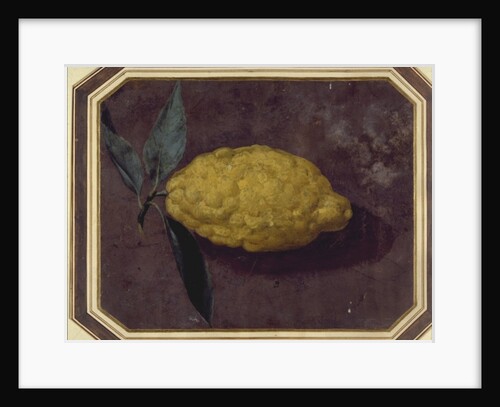 A Lemon by School European