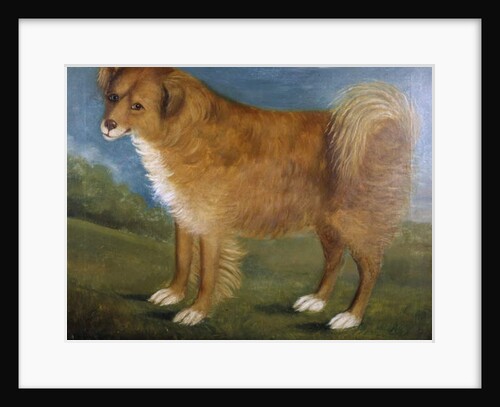Brown Dog in a Landscape, c.1850 by Unknown Artist