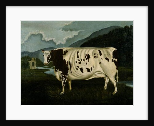 The Famous Craven Heifer by W. D. Fryer