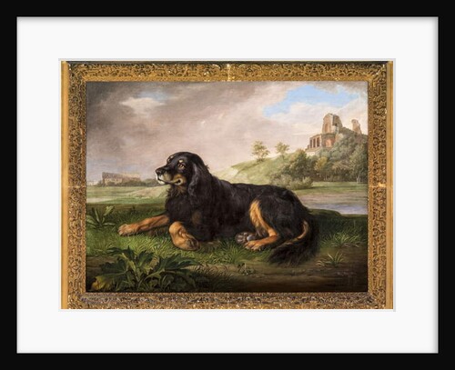 Portrait of 'Tawney', the 6th Duke's spaniel, with the Palatine beyond, 1819 by Johan Wenzel Peter